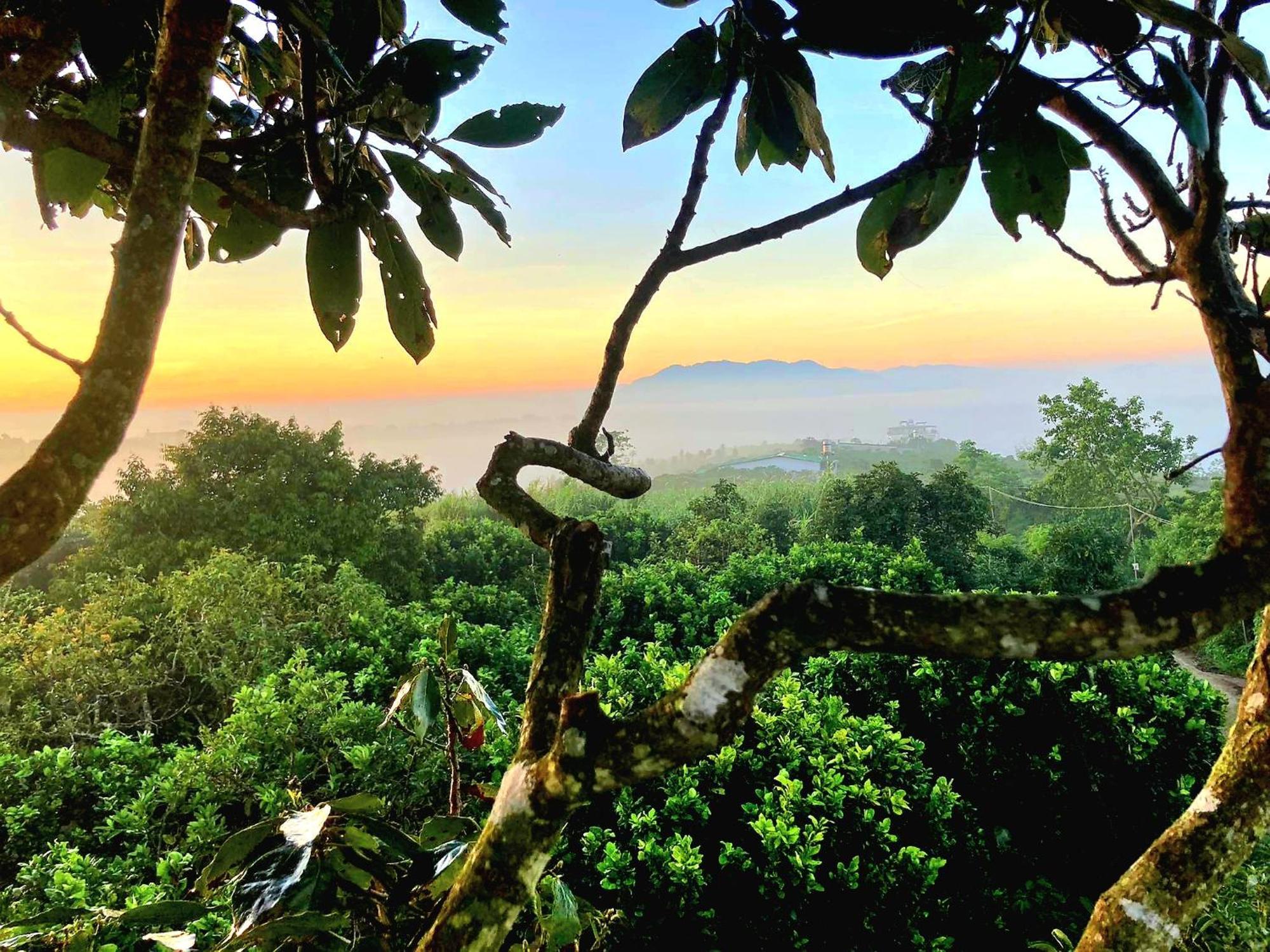 Homestay Vuon Trai Cay Nhiet Doi Vo Uu Garden Bao Loc Bagian luar foto