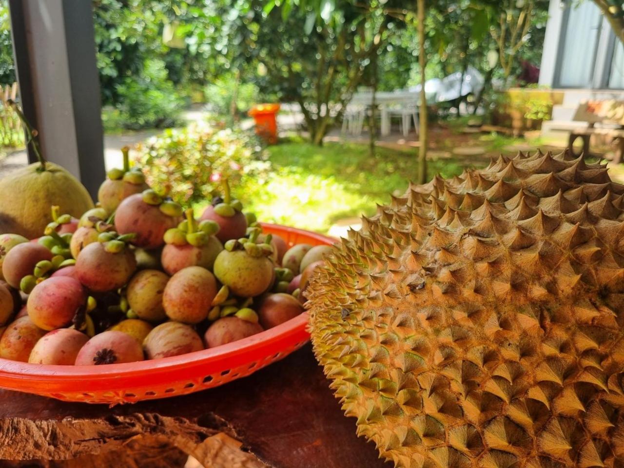 Homestay Vuon Trai Cay Nhiet Doi Vo Uu Garden Bao Loc Bagian luar foto