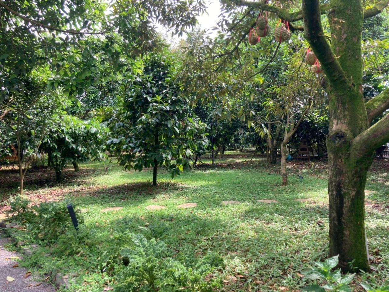 Homestay Vuon Trai Cay Nhiet Doi Vo Uu Garden Bao Loc Bagian luar foto