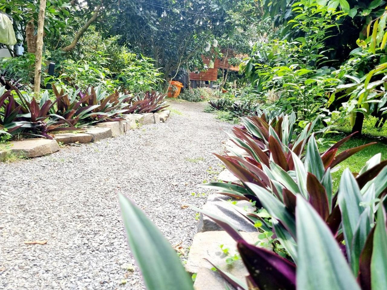Homestay Vuon Trai Cay Nhiet Doi Vo Uu Garden Bao Loc Bagian luar foto